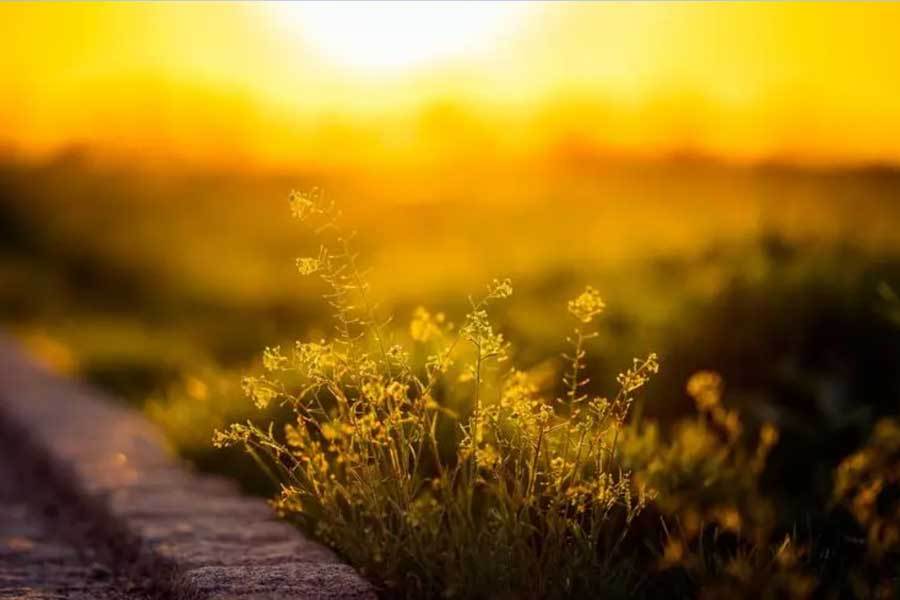 杭州亚运会场馆向公众开放体验